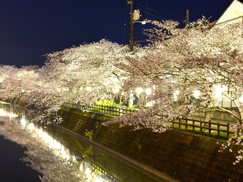 佐川町